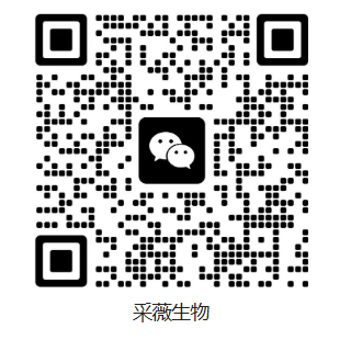 采薇生物微信二维码