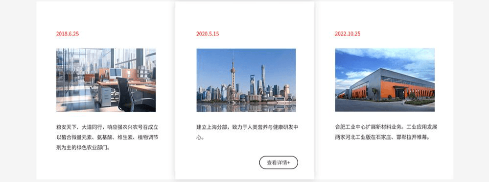 业务版图